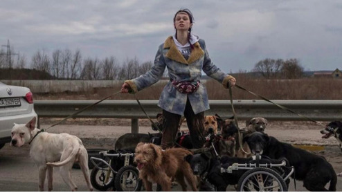 Furry Refugees: Animals as Hostages of War